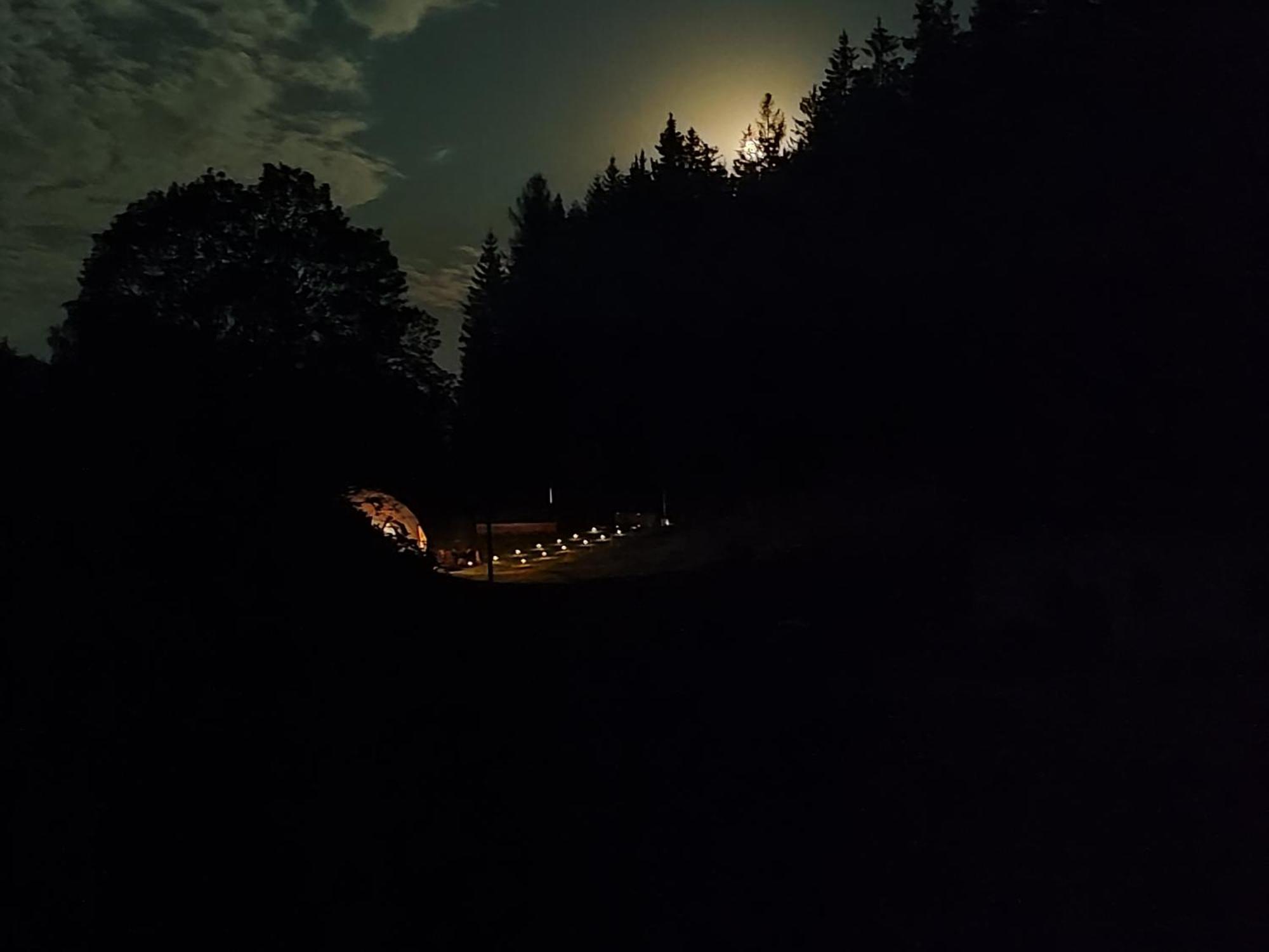 Hotel Forrest Glamp à Mieroszow Extérieur photo